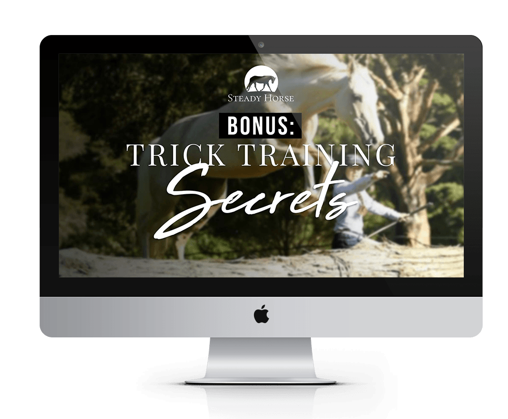 trick-training-secrets-mockup